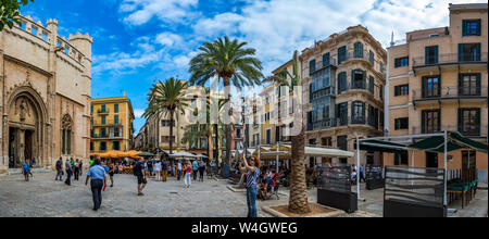 Majorque, Panoramabild vom Placa de la Llotja, Palma de Mallorca, Mallorca, Espagne Banque D'Images