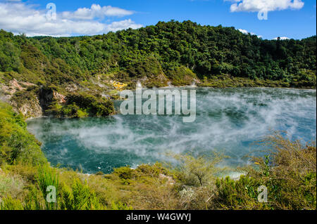 Poêle, le lac plus grand Hot Spring dans le monde, de la vallée du Rift volcanique de Waimangu, île du Nord, Nouvelle-Zélande Banque D'Images