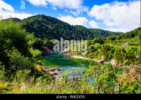 Susension pont sur la Gorge de Buller, île du Sud, Nouvelle-Zélande Banque D'Images