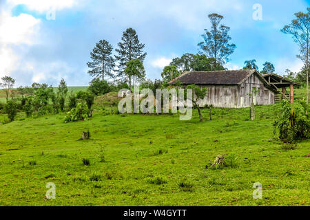 Ancienne ferme en bois avec de l'herbe, vache repéré, ciel bleu avec des nuages, Petrolandia, Santa Catarina
