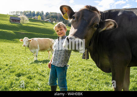 Happy boy avec cow on pasture Banque D'Images