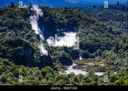 Acitve géothermique champ dans la vallée du Rift volcanique de Waimangu, île du Nord, Nouvelle-Zélande Banque D'Images