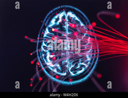 La neuroscience, la fibre optique acheminant des données autour du cerveau Banque D'Images