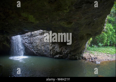 Pont naturel dans le Parc National de Springbrook, New South Wales, Australie Banque D'Images