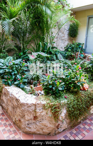 Colombie Cartagena Centre ville ancien clos Getsemani Posada la FE boutique hôtel intérieur patio jardin plantes ornementales visite vi Banque D'Images