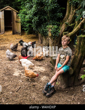 Jeune garçon avec son les poules en liberté. Banque D'Images