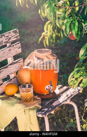 Boire du thé Kombucha avec bactéries bénéfiques sur la chaise en bois sous un soleil soir lumière Vue de côté avec copyspace Banque D'Images
