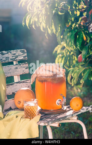 Boire du thé Kombucha avec bactéries bénéfiques sur la chaise en bois sous un soleil soir lumière Vue de côté avec copyspace Banque D'Images