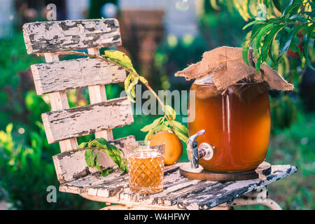 Boire du thé Kombucha avec bactéries bénéfiques sur la chaise en bois sous un soleil soir lumière Vue de côté avec copyspace Banque D'Images