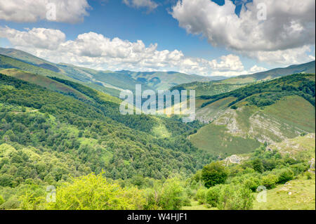 Parc Naturel de Saja-Besaya, Espagne Banque D'Images