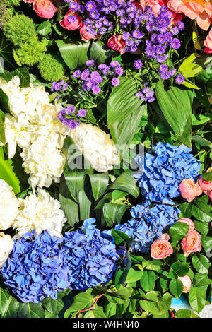 Fête joyeuse lumineuse multicolore floral background de pivoines blanches, roses roses, purple asters et bleu Hortensia à feuilles vertes. Sentiment, expres Banque D'Images