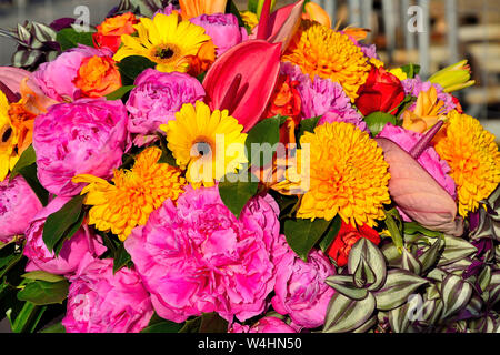 Fête joyeuse lumineuse multicolore floral background à partir de différentes fleurs en rose, jaune et rouge et feuilles panachées de Tradescantia decorat Banque D'Images