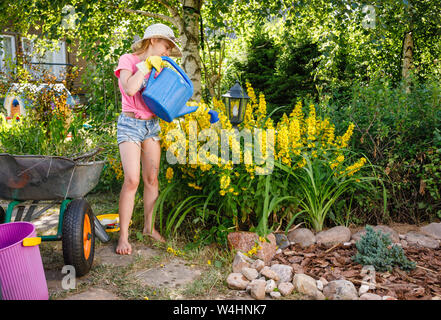 Petite fille en aidant les parents dans un jardin d'été d'arroser les fleurs jaune salicaire apprendre à faire des travaux de jardinage Banque D'Images