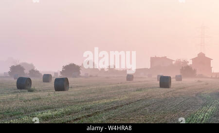 La brume matinale de l'aube couvre les domaines de la campagne Toscane où se trouvent des balles de foin, Italie Banque D'Images