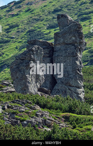 Gros blocs rocheux sur la montagne d'été vertical de la crête des Carpates, Vuhatyj Kaminj Chornohora,,, l'Ukraine. Banque D'Images