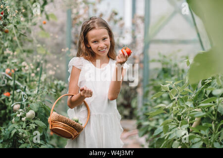 Cute little girl recueille les concombres et tomates de serre en Banque D'Images