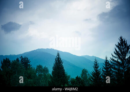 Arrière-plan des montagnes avec des arbres en premier plan sous un ciel Moody. Filtre bleu. Banque D'Images