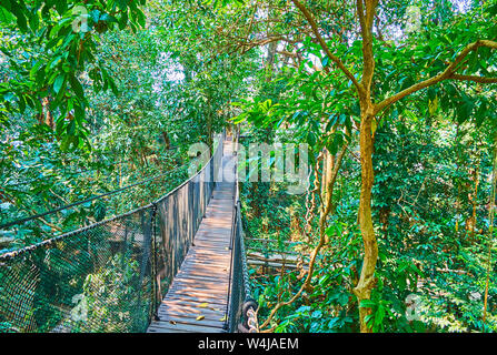 Profitez d''extrême, marcher le long pont de corde suspendu dans les forêts tropicales de Tree Top Walk, jardin Mae Fah Luang, Doi Tung, Chiang Rai, Thaïlande Banque D'Images
