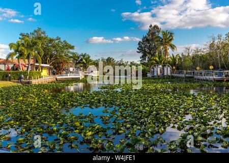 Embarcadère de l'hélice, Safari Park, parc national des Everglades, Florida, USA Banque D'Images