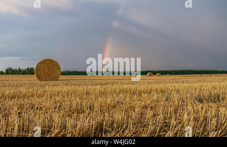 Magnifique arc-en-ciel multicolores sur un champ de blé en pente avec de gros rouleaux de paille Banque D'Images