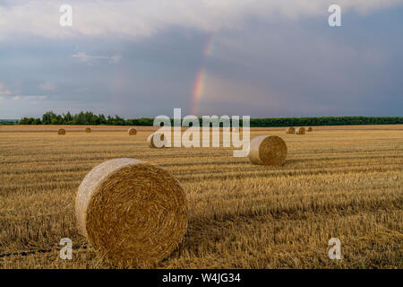 Magnifique arc-en-ciel multicolores sur un champ de blé en pente avec de gros rouleaux de paille Banque D'Images