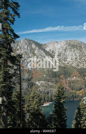 Plan vertical de grands arbres près du lac Tahoe et une montagne au loin avec le ciel bleu Banque D'Images