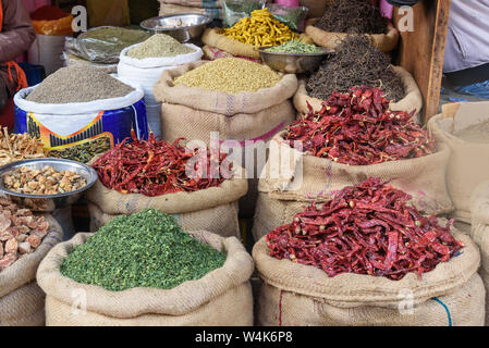 Sacs et Sacs avec des épices, des graines, des racines pour la vente au marché local à Bikaner. Le Rajasthan. L'Inde Banque D'Images