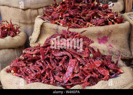 Sacs et Sacs avec des épices, des graines, des racines pour la vente au marché local à Bikaner. Le Rajasthan. L'Inde Banque D'Images
