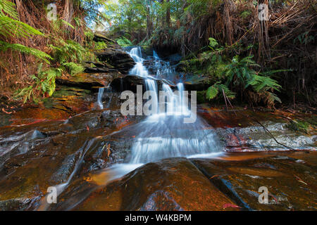 Petite cascade dans les montagnes après une forte pluie. Banque D'Images
