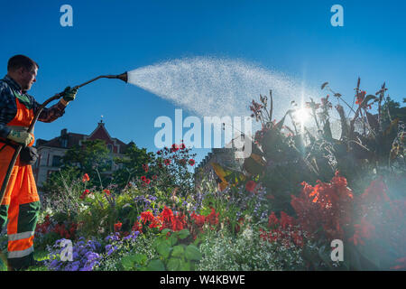 Munich, Allemagne. 24 juillet, 2019. Un employé de la ville arrosée de lits de fleurs au Gärtnerplatz dans la matinée. L'Allemagne est confrontée à une vague de chaleur - et déjà le Mercredi ce sera clairement visible dans de nombreux domaines. Crédit : Peter Kneffel/dpa/Alamy Live News Banque D'Images