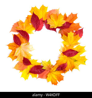 Guirlande de feuilles d'automne isolé sur fond blanc. Vue d'en haut. Banque D'Images