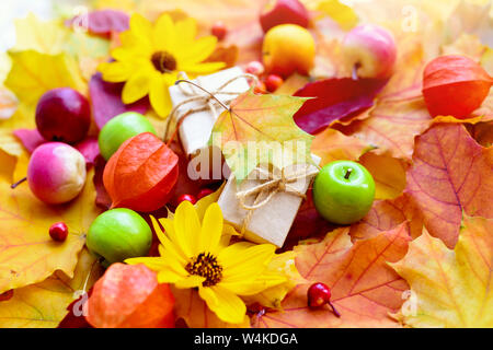 Automne fond avec feuilles d'érable, fleurs, pommes et petits fruits Banque D'Images