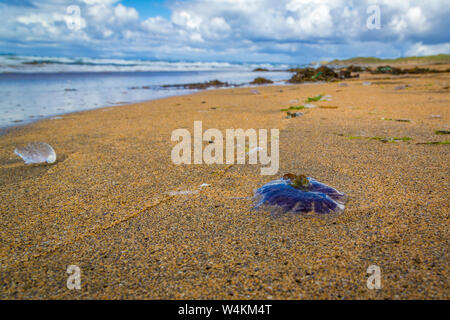 Fanore magnifique plage de sable sur le Burren, Co Clare, Ireland Banque D'Images