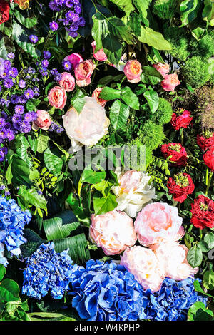 Fête joyeuse lumineuse multicolore floral background rose de pivoines, roses, purple asters et bleu Hortensia à feuilles vertes. Sentiment, l'expression de p Banque D'Images