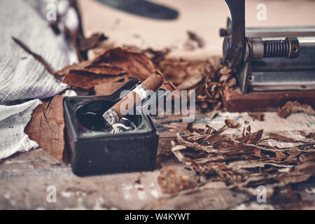 Close up d'un cigare cubain et un cendrier en céramique noire sur la table en bois séché et traité avec des feuilles de tabac. Banque D'Images