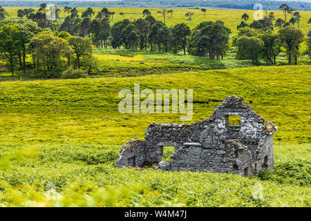 Ruines d'une ancienne maison construite en pierre dans les montagnes de Wicklow, près de Sally Gap, Irlande Banque D'Images