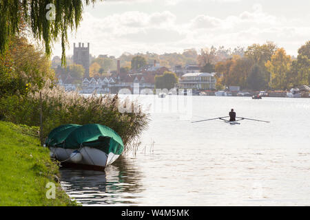 Un rameur sur la Tamise à Henley-on-Thames Banque D'Images