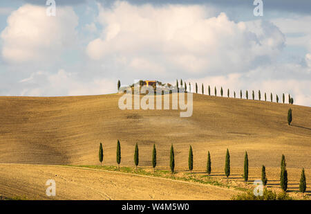 Nuages incroyable et allée de cyprès près de petite maison de ferme. Campagne italienne. La toscane. L'Italie. L'Europe Banque D'Images