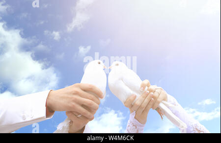 Pigeons sur le mariage dans les mains des jeunes sur l'arrière-plan de la sunny sky Banque D'Images