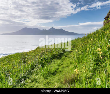 Iris en fleurs le long des falaises à Cleadale, Liag bay, à l'île de Eigg et distants à l'île de Rum sur l'horizon au milieu de l'été. Banque D'Images