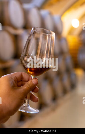 Dégustation de marsala sec ou doux enrichis en vin cave à vin vintage avec de vieux fûts de chêne à Marsala, Sicile, Italie, un verre de vin avec du vin Banque D'Images