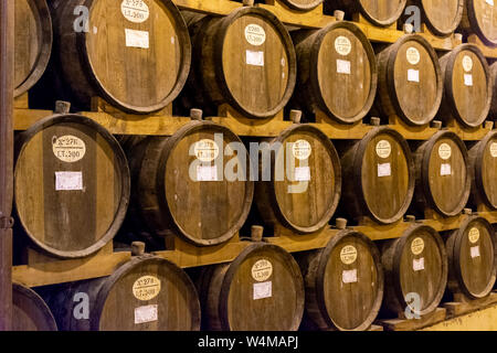 Cave à vin vintage avec de vieux fûts de chêne, production de sec ou doux enrichis de délicieux vin de Marsala Marsala, Sicile, Italie Banque D'Images