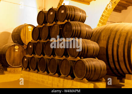 Cave à vin vintage avec de vieux fûts de chêne, production de sec ou doux enrichis de délicieux vin de Marsala Marsala, Sicile, Italie Banque D'Images