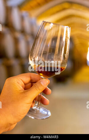 Dégustation de marsala sec ou doux enrichis en vin cave à vin vintage avec de vieux fûts de chêne à Marsala, Sicile, Italie, un verre de vin avec du vin Banque D'Images