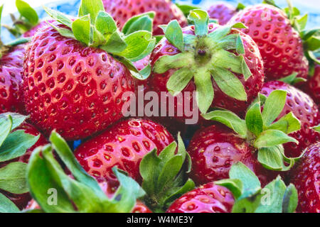 Close-up of fresh fraise mûre Banque D'Images