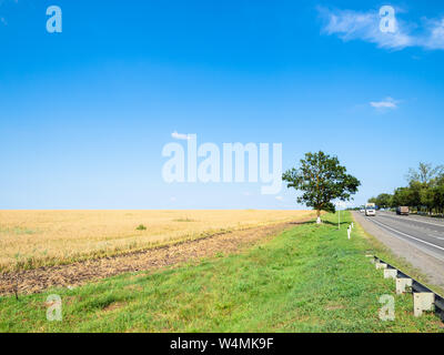 Paysage rural - champ de blé, le long de l'autoroute sur journée ensoleillée (A146 autoroute Fédérale - Novorossiysk Krasnodar dans Abinsky District dans la région de Kuban Banque D'Images