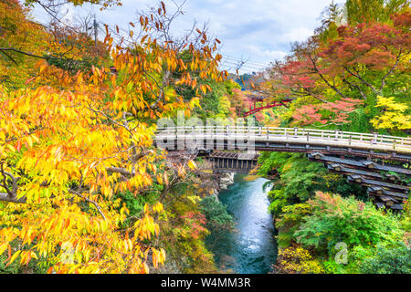 Otsuki, Japon à Saruhashi pont de singe. Banque D'Images