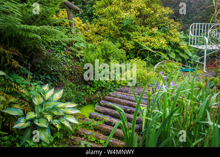 Magnifique jardin sur Moutons Head, West Cork, Cork, Irlande Banque D'Images