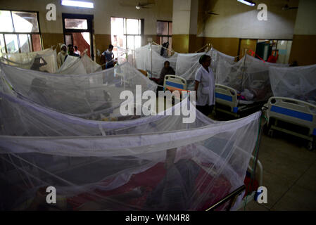 Les patients couverts de moustiquaires qui souffrent de fièvre dengue reste dans le 'Shaheed Suhrawardy' collègue médical hôpital de Dhaka, Bang Banque D'Images