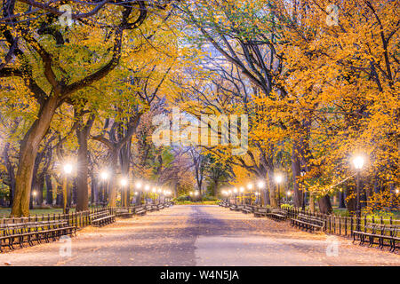 Central Park au centre commercial dans la ville de New York au cours de l'automne l'aube. Banque D'Images